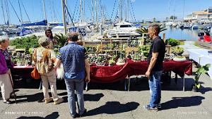 Cap d'Agde - Avant-Ports - 2 Juin 2024 - 15